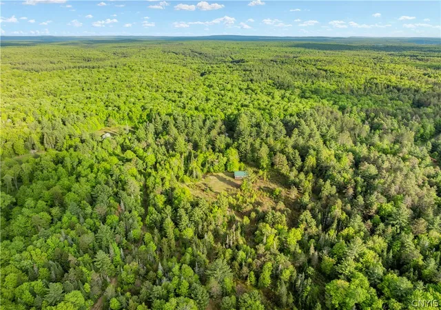 Photo 26 of Land for sale at 225 Lite Rd, Forestport, NY 13338 | MLS# S1690585 | Listing updated on 2026-07-15