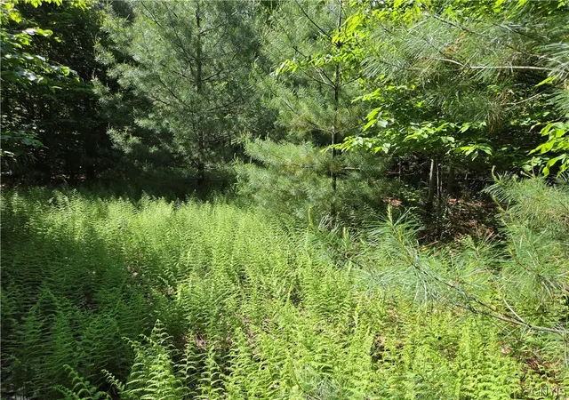 Photo 1 of Land for sale at 7399 Pennysettlement Rd, Port Leyden, NY 13433 | MLS# S1689878 | Listing updated on 2026-07-21