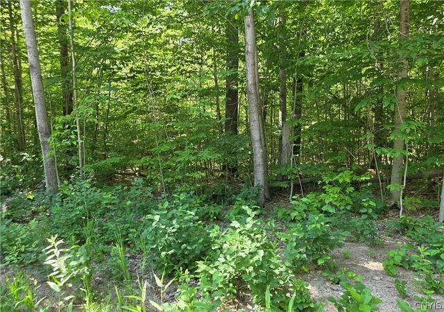 Photo 2 of Land for sale at 7399 Pennysettlement Rd, Port Leyden, NY 13433 | MLS# S1689878 | Listing updated on 2026-07-21