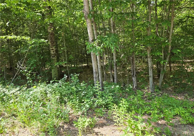 Photo 3 of Land for sale at 7399 Pennysettlement Rd, Port Leyden, NY 13433 | MLS# S1689878 | Listing updated on 2026-07-21
