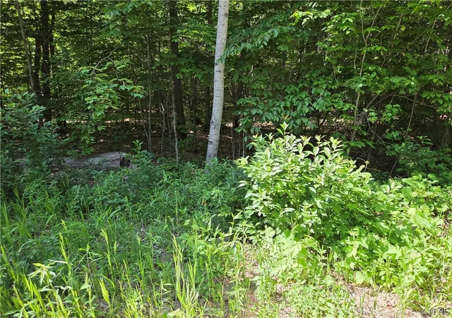 Photo 4 of Land for sale at 7399 Pennysettlement Rd, Port Leyden, NY 13433 | MLS# S1689878 | Listing updated on 2026-07-21