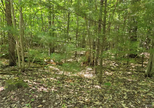 Photo 5 of Land for sale at 7399 Pennysettlement Rd, Port Leyden, NY 13433 | MLS# S1689878 | Listing updated on 2026-07-21
