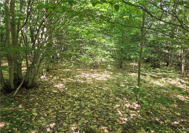 Photo 7 of Land for sale at 7399 Pennysettlement Rd, Port Leyden, NY 13433 | MLS# S1689878 | Listing updated on 2026-07-21