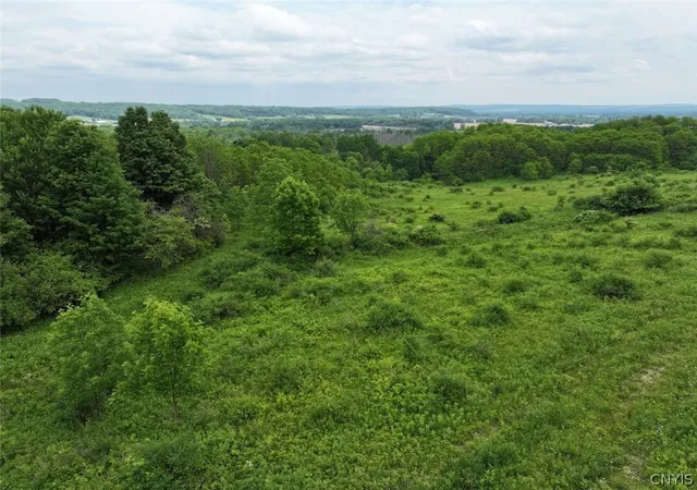 Photo 1 of Land for sale at Dye Rd, South Dayton, NY 14138 | MLS# S1690793 | Listing updated on 2026-07-24