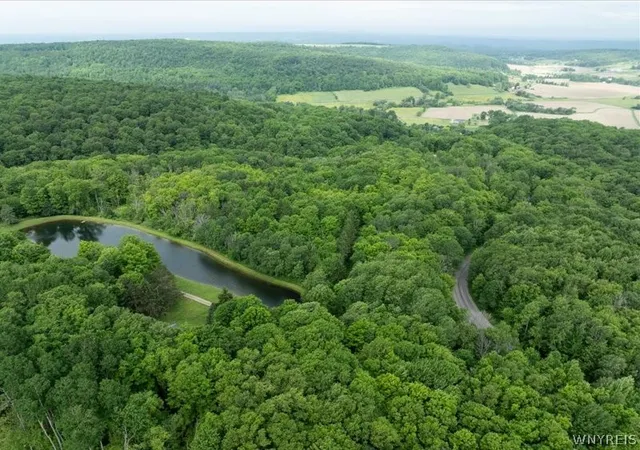 Photo 31 of Sale Pending at 7483 Monk Hl Rd, East Otto, NY 14729 | MLS# B1690285 | Listing updated on 2026-07-23