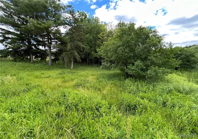 2nd image of 5131 State Route 21, Canandaigua, NY 14424 | MLS# B1690716