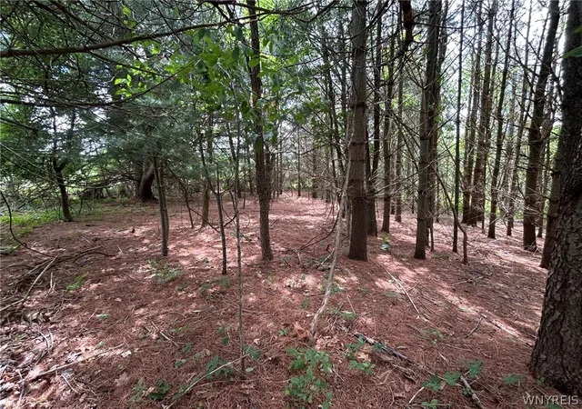 Photo 5 of Sale Pending at 5131 State Route 21, Canandaigua, NY 14424 | MLS# B1690716 | Listing updated on 2026-07-31