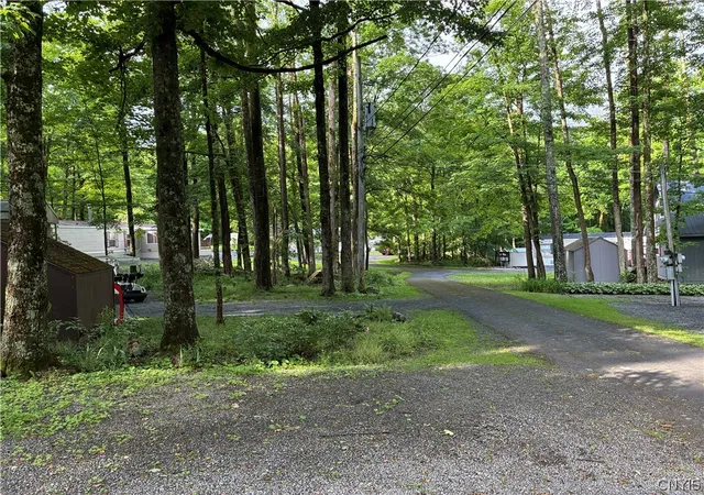 Homes for sale in Litchfield, NY | 382 Rider #51 Cardinal Rd, Litchfield, NY 13322 | MLS# S1690914