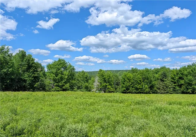 3rd image of Jennison Rd, Pittsfield, NY 13411 | MLS# R1691002