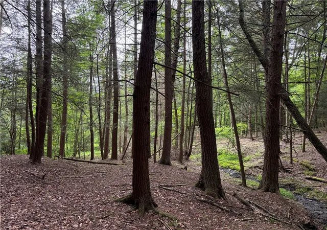 1st image of Tinkertown Rd N, Tuscarora, NY 14510 | MLS# R1691008