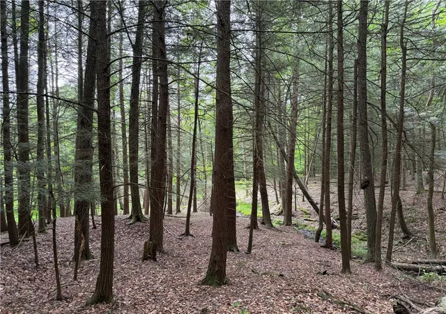 2nd image of Tinkertown Rd N, Tuscarora, NY 14510 | MLS# R1691008