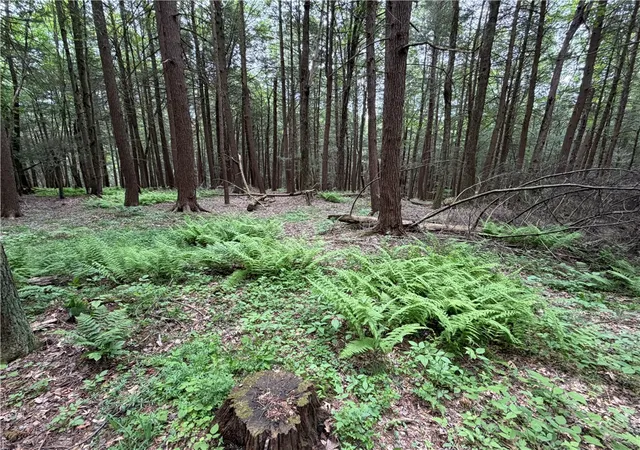 3rd image of Tinkertown Rd N, Tuscarora, NY 14510 | MLS# R1691008