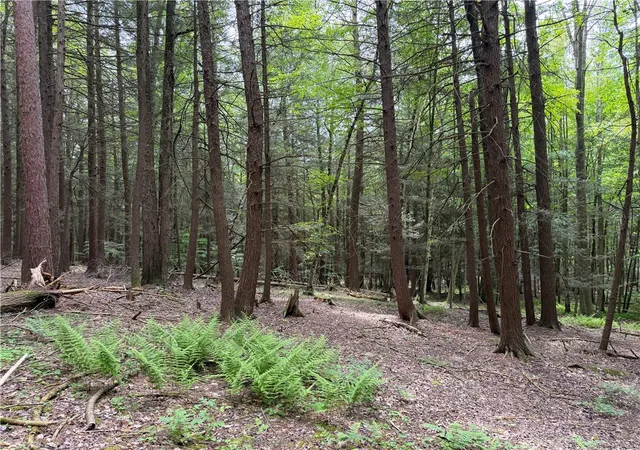 4th image of Tinkertown Rd N, Tuscarora, NY 14510 | MLS# R1691008