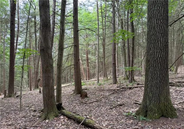 5th image of Tinkertown Rd N, Tuscarora, NY 14510 | MLS# R1691008