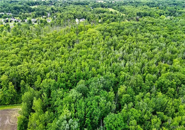 Homes for sale in Hamburg, NY | Lakeview Rd, Hamburg, NY 14075 | MLS# B1690317