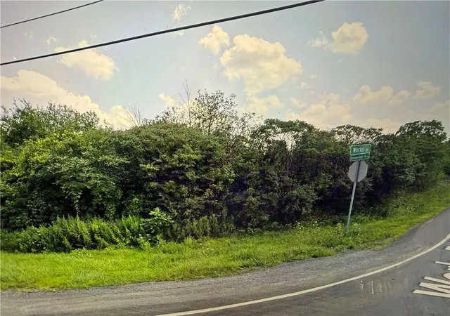 3rd image of 0 Works Rd, Rush, NY 14543 | MLS# R1691016