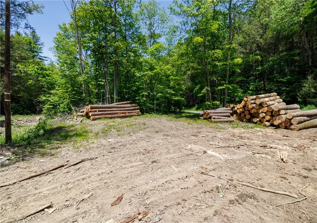 Homes for sale in Urbana, NY | 0 Glen Brook Rd, Urbana, NY 14840 | MLS# R1691290