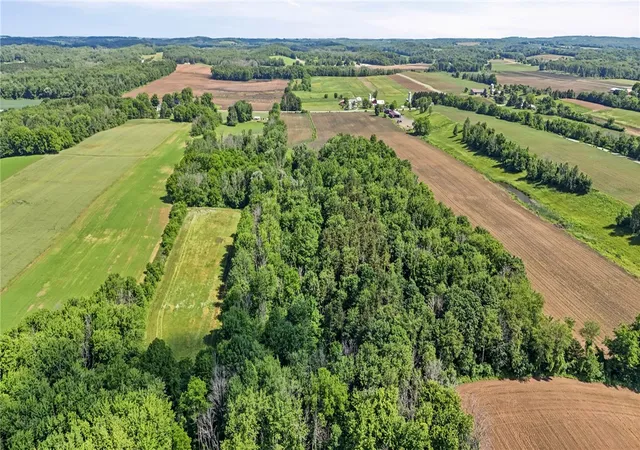 Homes for sale in Marion, NY | 4880 Skinner Rd, Marion, NY 14505 | MLS# R1691135