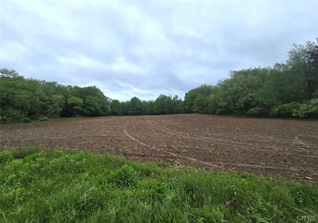 Photo 4 of Land for sale at Hermitage Rd, Warsaw, NY 14569 | MLS# S1691335 | Listing updated on 2026-07-13