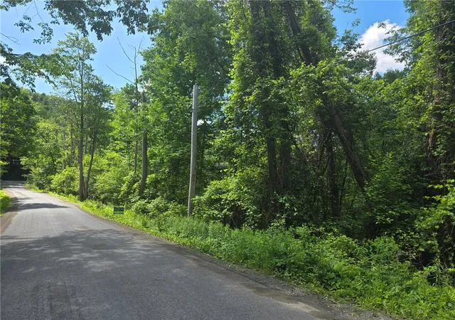 1st image of Lippitt Development Rd, Middlefield, NY 13326 | MLS# R1691363