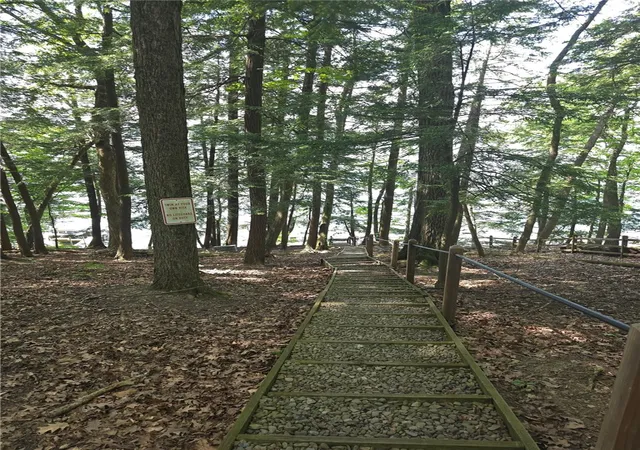 4th image of Lippitt Development Rd, Middlefield, NY 13326 | MLS# R1691363