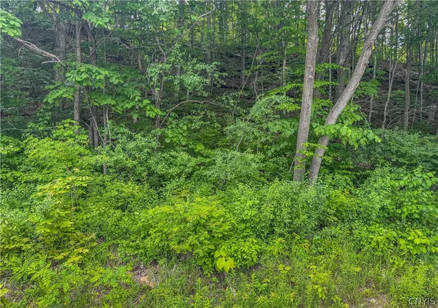 Homes for sale in Clayton, NY | Co Rte 11, Clayton, NY 13624 | MLS# S1690492