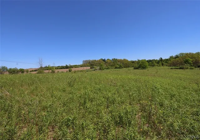 4th image of 0 W Lake Rd, Skaneateles, NY 13152 | MLS# S1691480