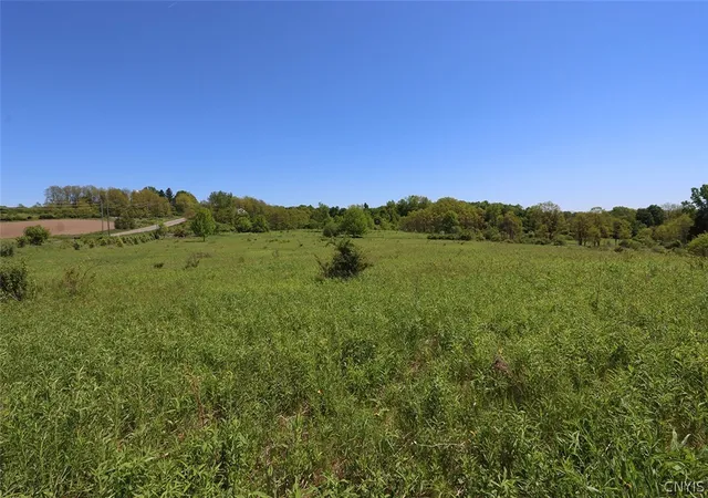 6th image of 00 W Lake, Skaneateles, NY 13152 | MLS# S1691488
