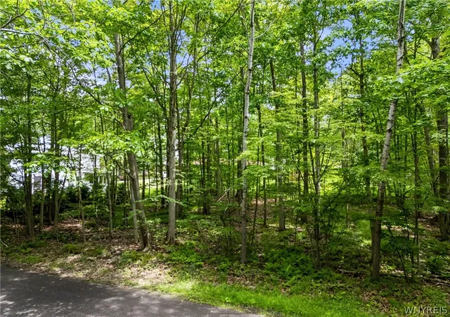 Photo 3 of Sale Pending at Park Ln, Jamestown, NY 14701 | MLS# B1691415 | Listing updated on 2026-07-18