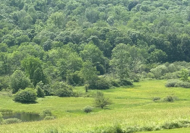2nd image of 0 Cty Rd 4, Preston, NY 13830 | MLS# R1691599
