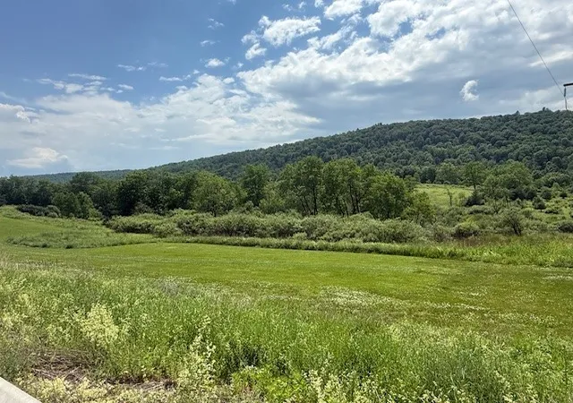 3rd image of 0 Cty Rd-4, Preston, NY 13830 | MLS# R1691599