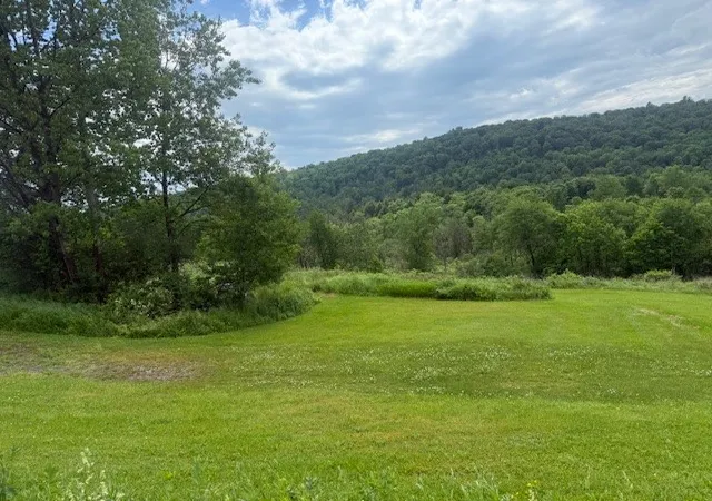 5th image of 0 Cty Rd-4, Preston, NY 13830 | MLS# R1691599