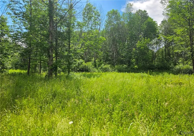 Homes for sale in Vienna, NY | 0 Depot Rd, Vienna, NY 13042 | MLS# S1691679