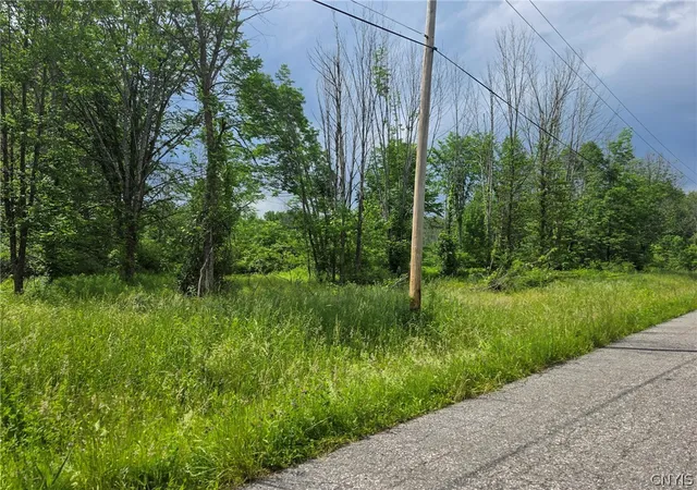 Homes for sale in Vienna, NY | 0 Depot Rd, Vienna, NY 13042 | MLS# S1691679