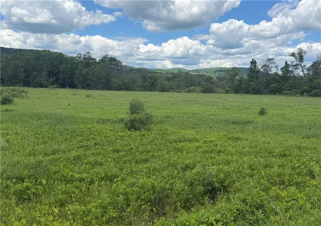 5th image of County Hwy 33, Middlefield, NY 13326 | MLS# R1691108