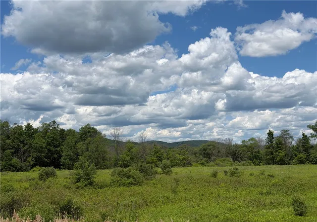 7th image of County Hwy 33, Middlefield, NY 13326 | MLS# R1691108