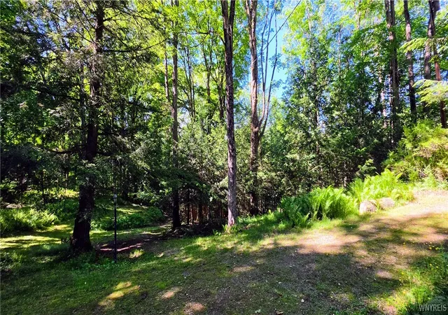 Photo 50 of Sale Pending at 00 Route 78 & 98, Java Center, NY 14082 | MLS# B1690929 | Listing updated on 2026-07-23