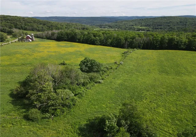 Homes for sale in Friendship, NY | 5243 Reed Rd, Friendship, NY 14739 | MLS# R1692012