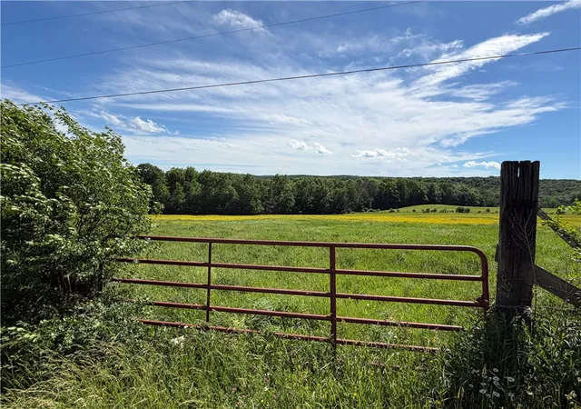 Homes for sale in Friendship, NY | 5243 Reed Rd, Friendship, NY 14739 | MLS# R1692012