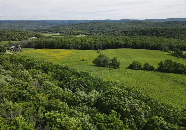 Homes for sale in Friendship, NY | 5243 Reed Rd, Friendship, NY 14739 | MLS# R1692012