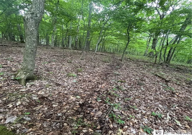 50th image of 1471 Loomis Rd, West Union, NY 14877 | MLS# R1691979
