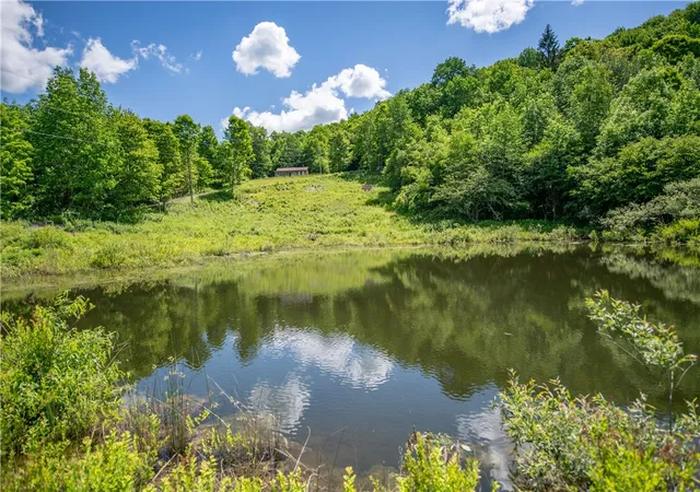 Homes for sale in Delhi, NY | 147 Miller Path, Delhi, NY 13753 | MLS# R1691845
