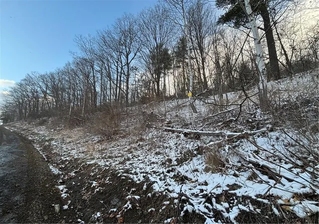 Homes for sale in Bath, NY | Obrien Rd N, Bath, NY 14879 | MLS# R1692164