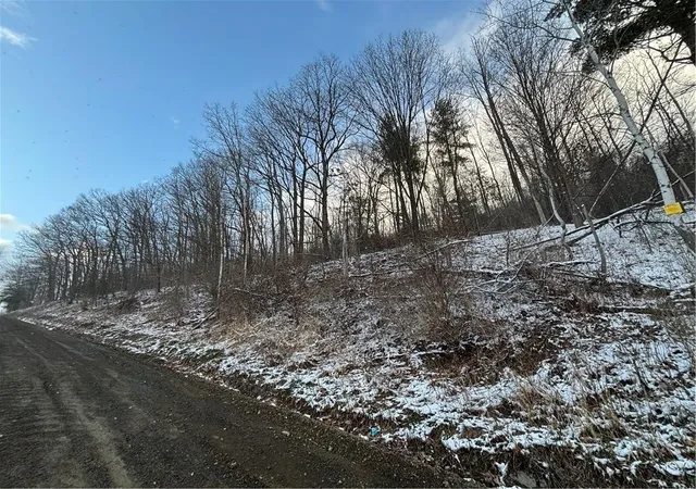 Homes for sale in Bath, NY | Obrien Rd N, Bath, NY 14879 | MLS# R1692164