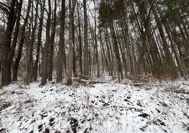 Homes for sale in Bath, NY | Obrien Rd N, Bath, NY 14879 | MLS# R1692164