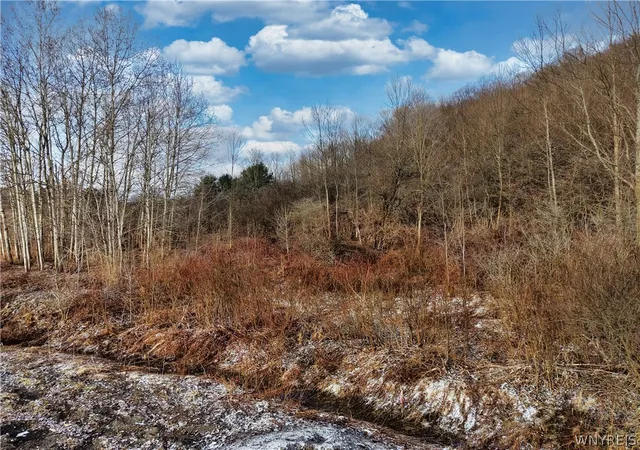 Homes for sale in Ellicottville, NY | 6000 Nys Rte 242 Lot #7, Ellicottville, NY 14731 | MLS# B1692170