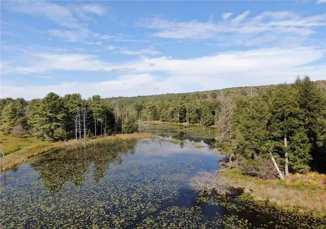 5th image of 146 Blower Rd, Guilford, NY 13780 | MLS# R1691960