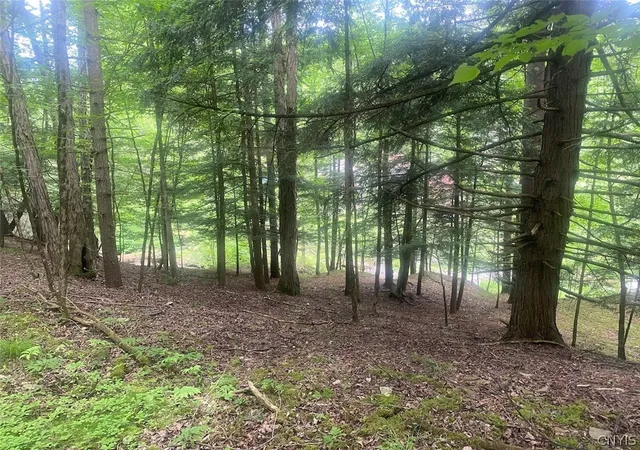 Homes for sale in Scio, NY | 5295 Snowball Hollow Rd, Scio, NY 14880 | MLS# S1692207