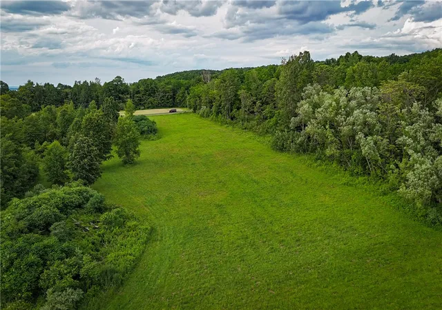 Homes for sale in Hector, NY | V/L-2 Lake St, Hector, NY 14841 | MLS# R1692220