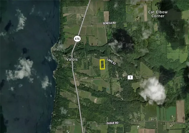 Homes for sale in Hector, NY | V/l 1 Lake St, Hector, NY 14841 | MLS# R1692227